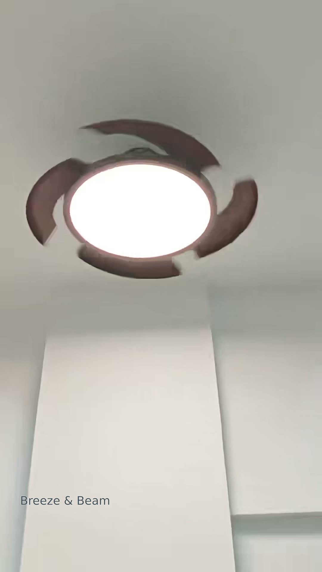 An upward view of a round illuminated ceiling fan light inside a brown ring, with three curved brown blades against a pale ceiling.