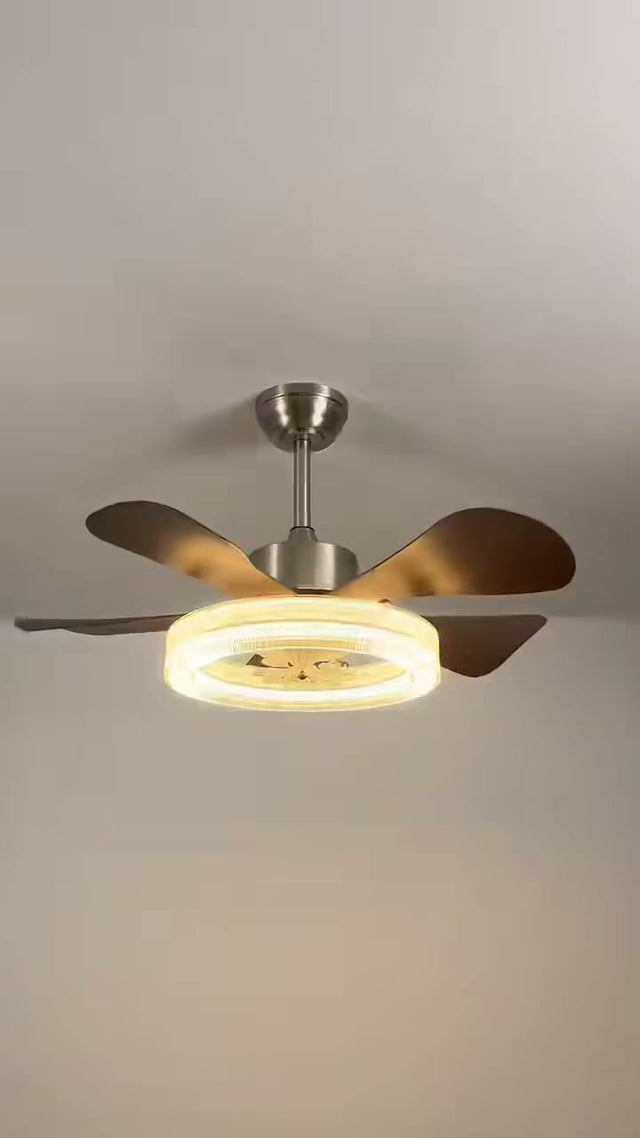 A fan light with an illuminated ring and floral detail, from our real product video