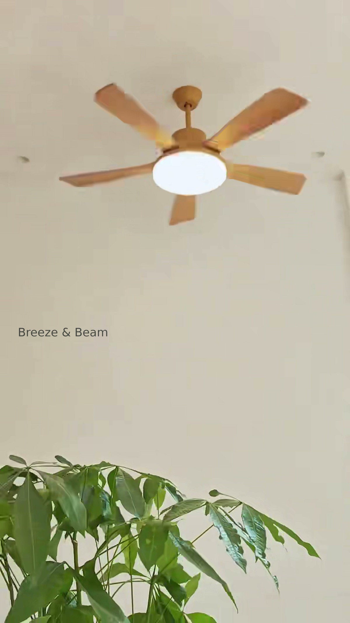 Five light wood-tone ceiling fan blades surrounding an illuminated circular light against an off-white ceiling, with a green plant below.