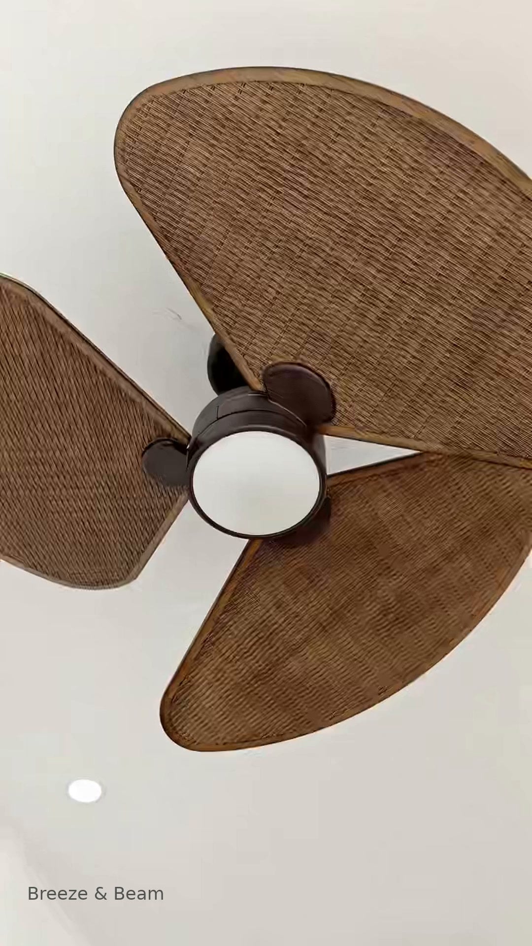 Three broad brown ceiling fan blades around a dark housing and round white light face, viewed from below against a white ceiling.