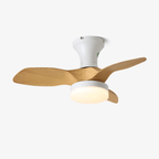 Brisa Ceiling Fan Light — product view 1