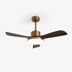 Aurevo Ceiling Fan Light — product view 17