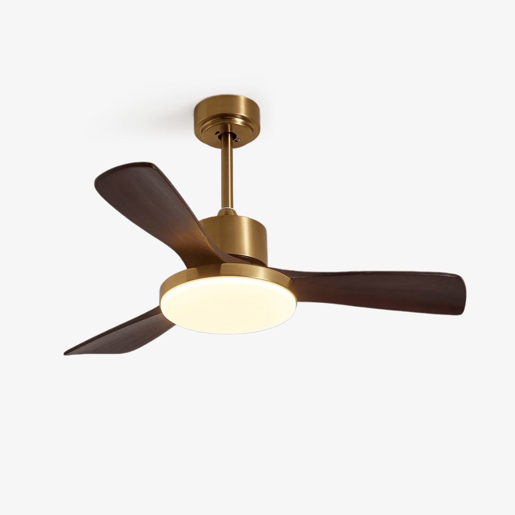 Aurevo Ceiling Fan Light — product view 1