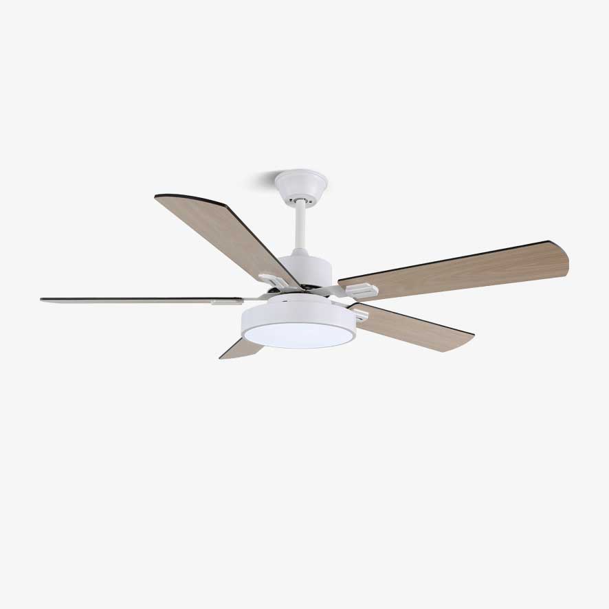 Zephyris Ceiling Fan Light — product view 1
