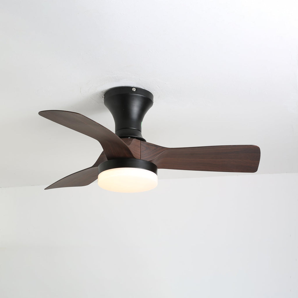 Brisa Ceiling Fan Light — product view 4