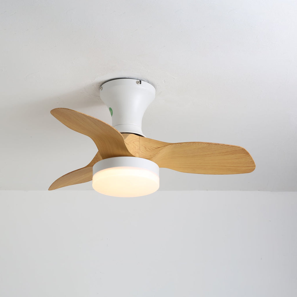 Brisa Ceiling Fan Light — product view 3
