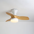 Brisa Ceiling Fan Light — product view 3