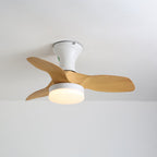 Brisa Ceiling Fan Light — product view 3