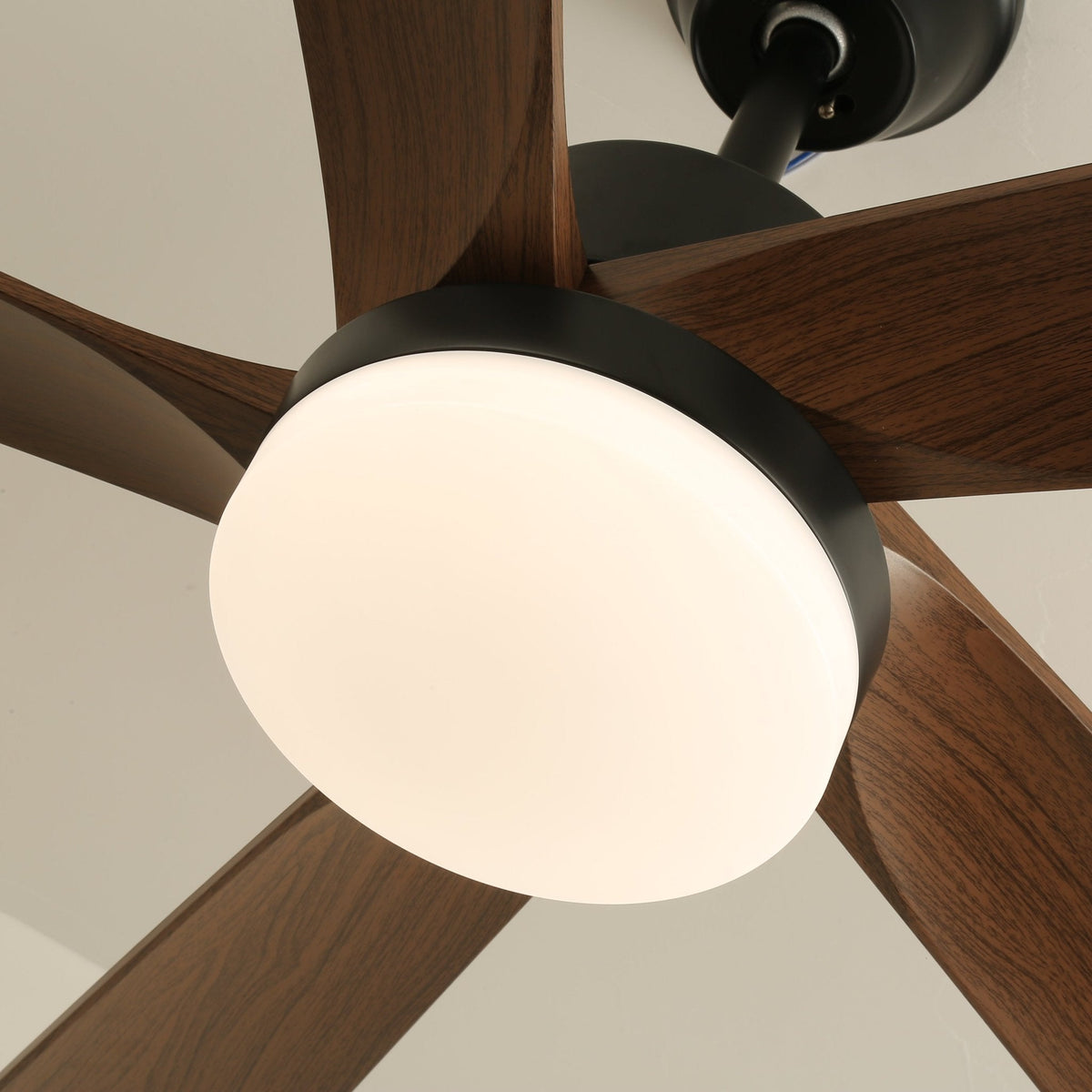 Auralin Breeze Ceiling Fan Light — product view 12