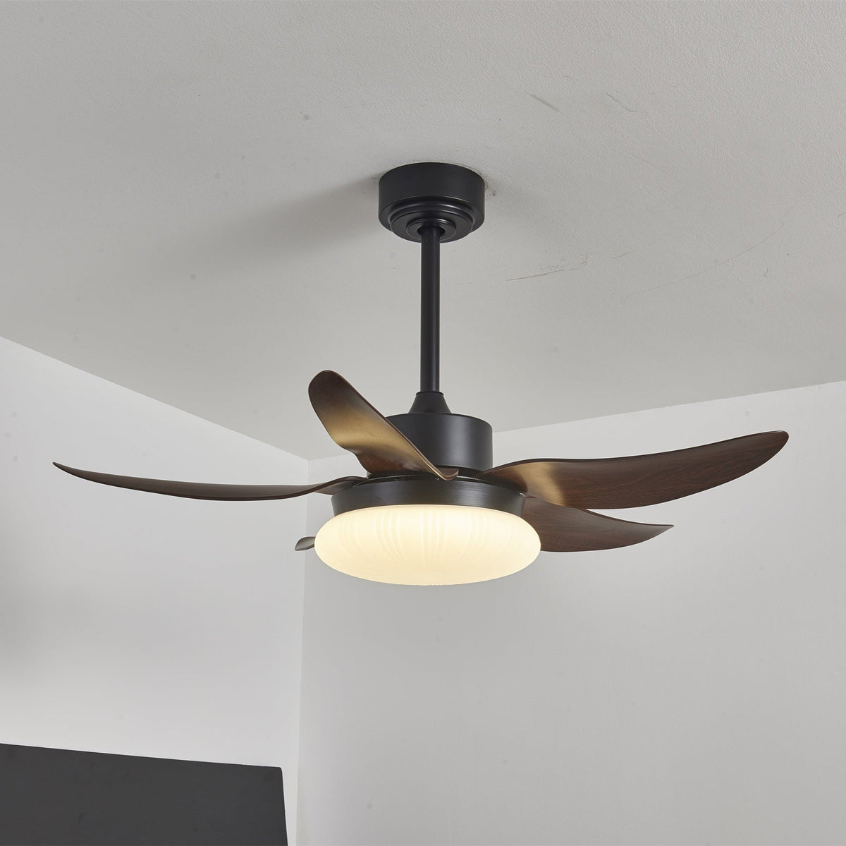 Aero Palm Ceiling Fan Light — product view 8