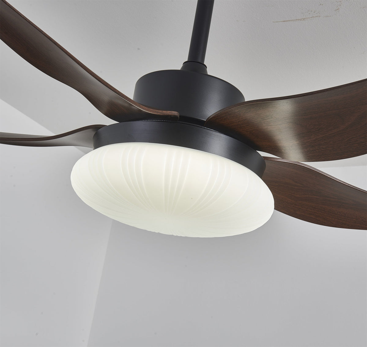 Aero Palm Ceiling Fan Light — product view 4