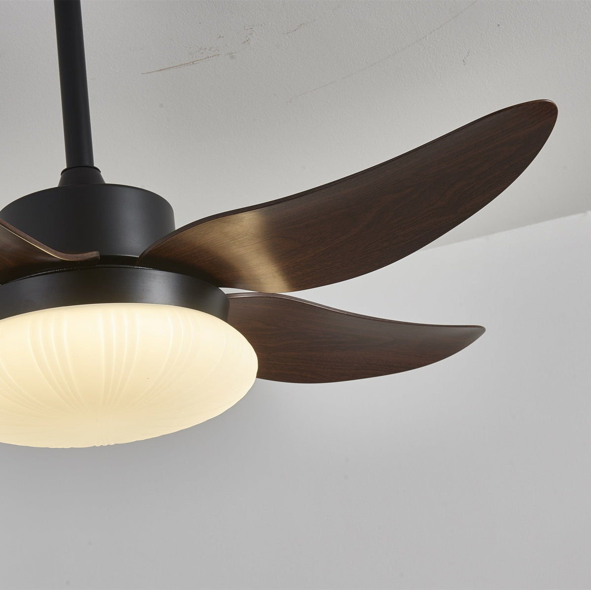Aero Palm Ceiling Fan Light — product view 6