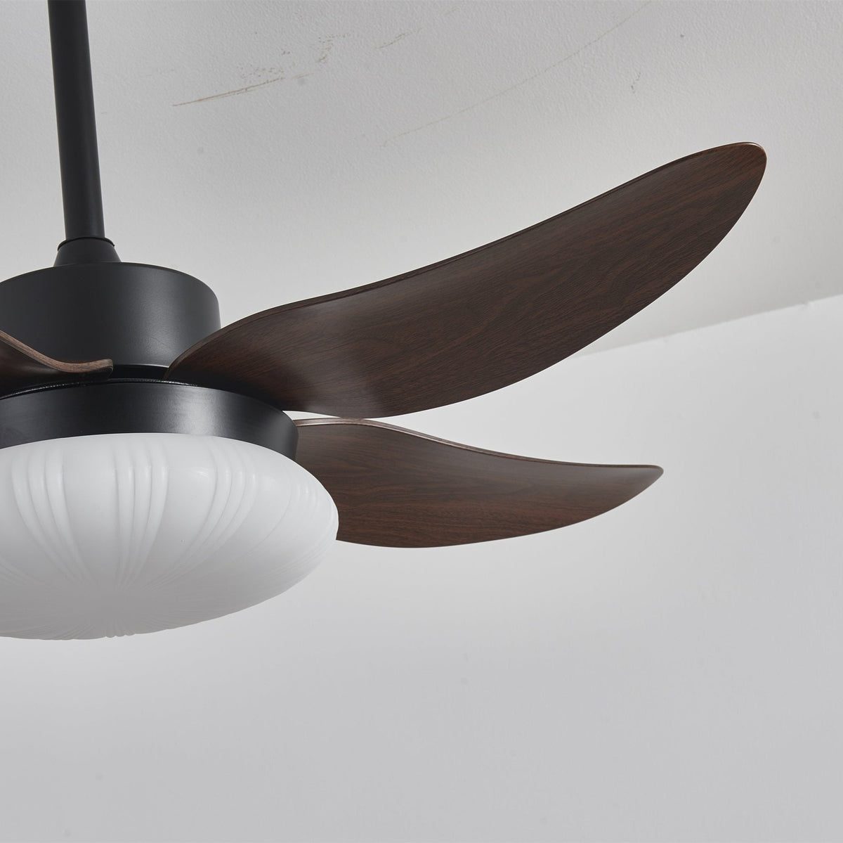 Aero Palm Ceiling Fan Light — product view 7
