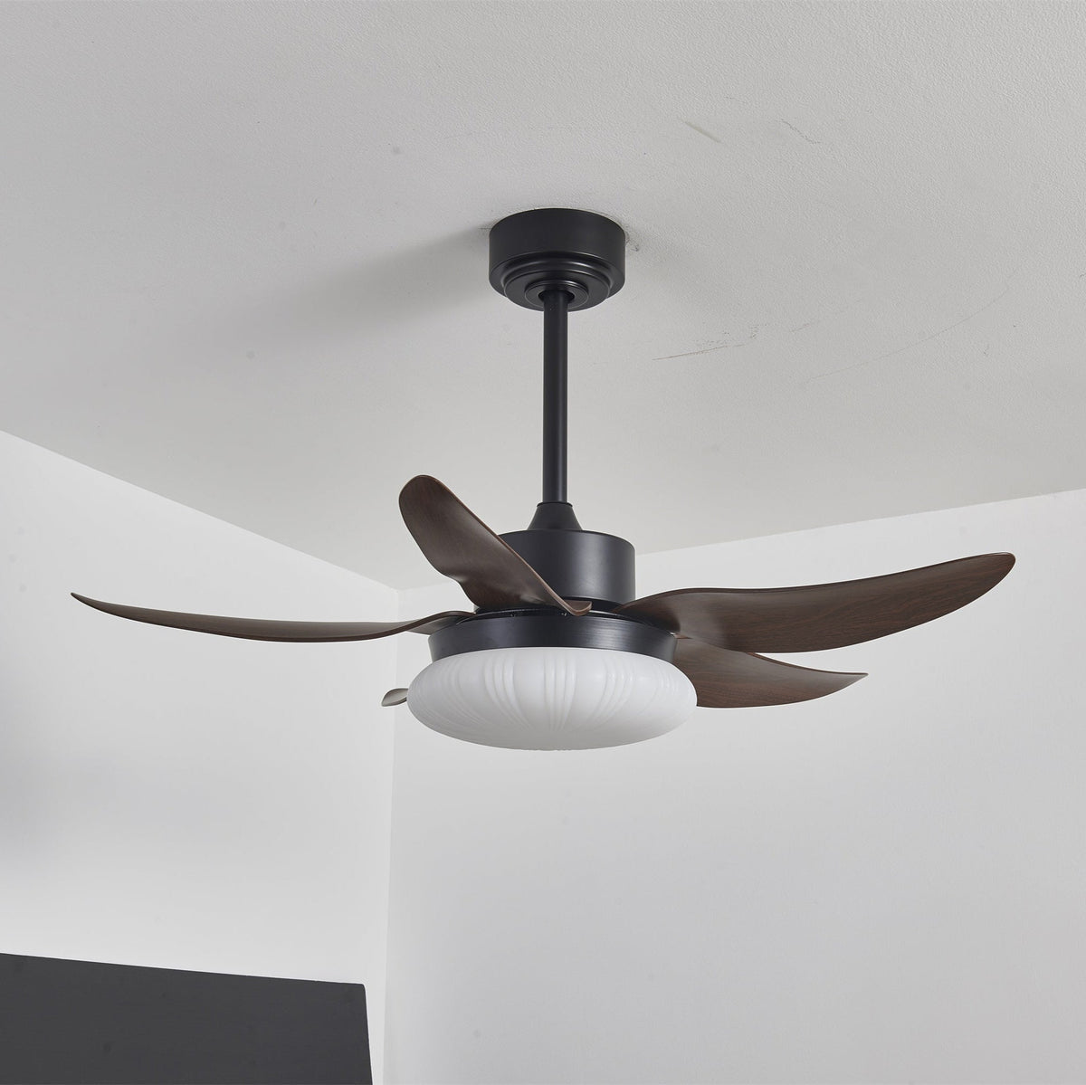 Aero Palm Ceiling Fan Light — product view 11