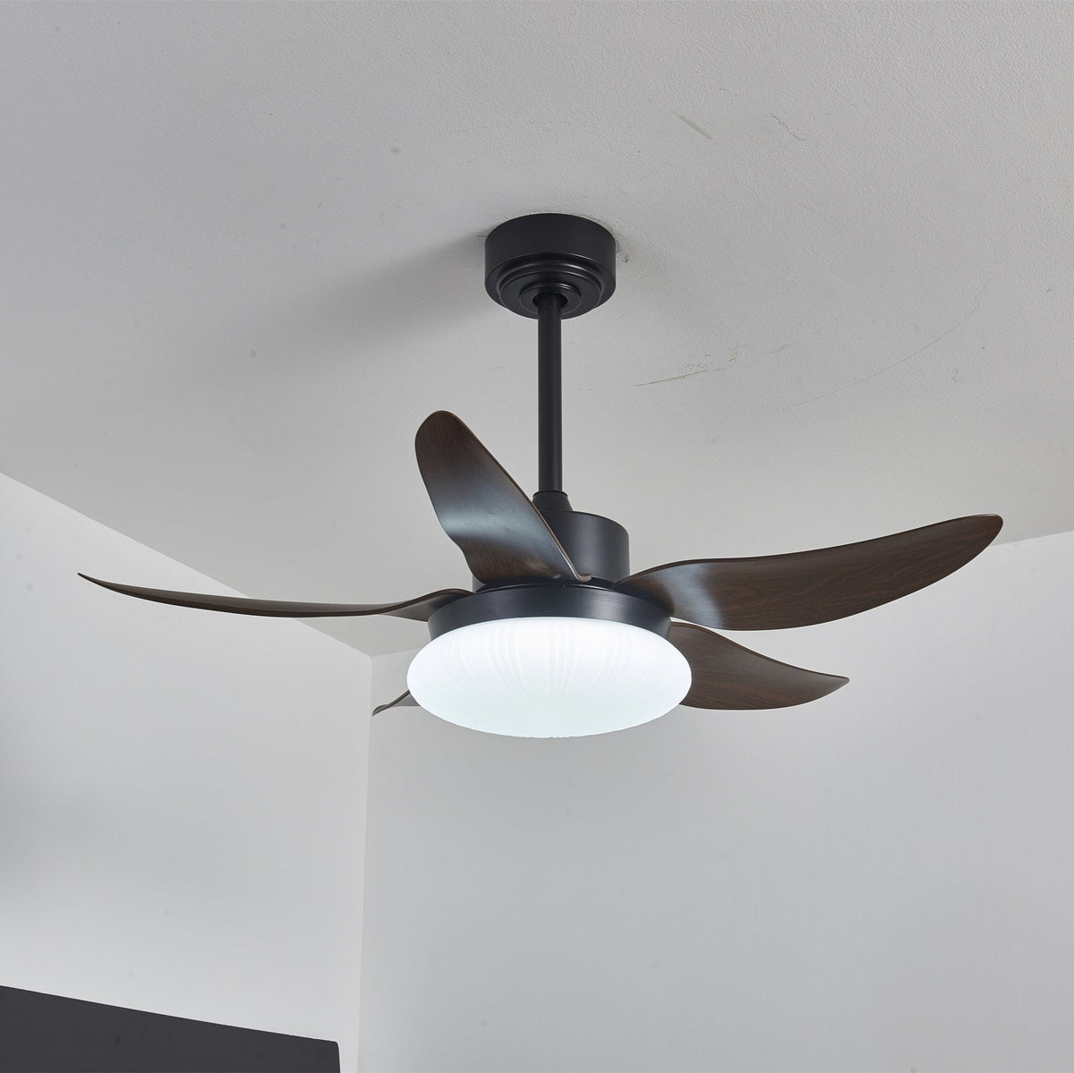 Aero Palm Ceiling Fan Light — product view 15