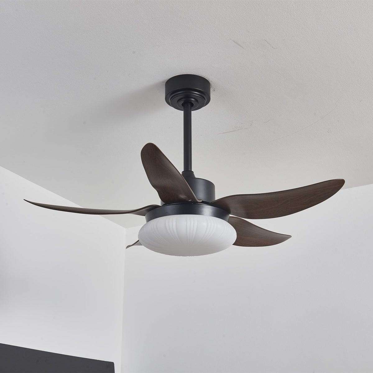 Aero Palm Ceiling Fan Light — product view 2