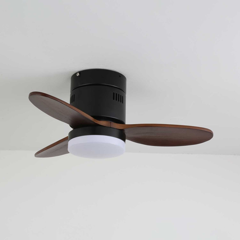 Aeroluxe Modern Ceiling Fan Light — product view 18