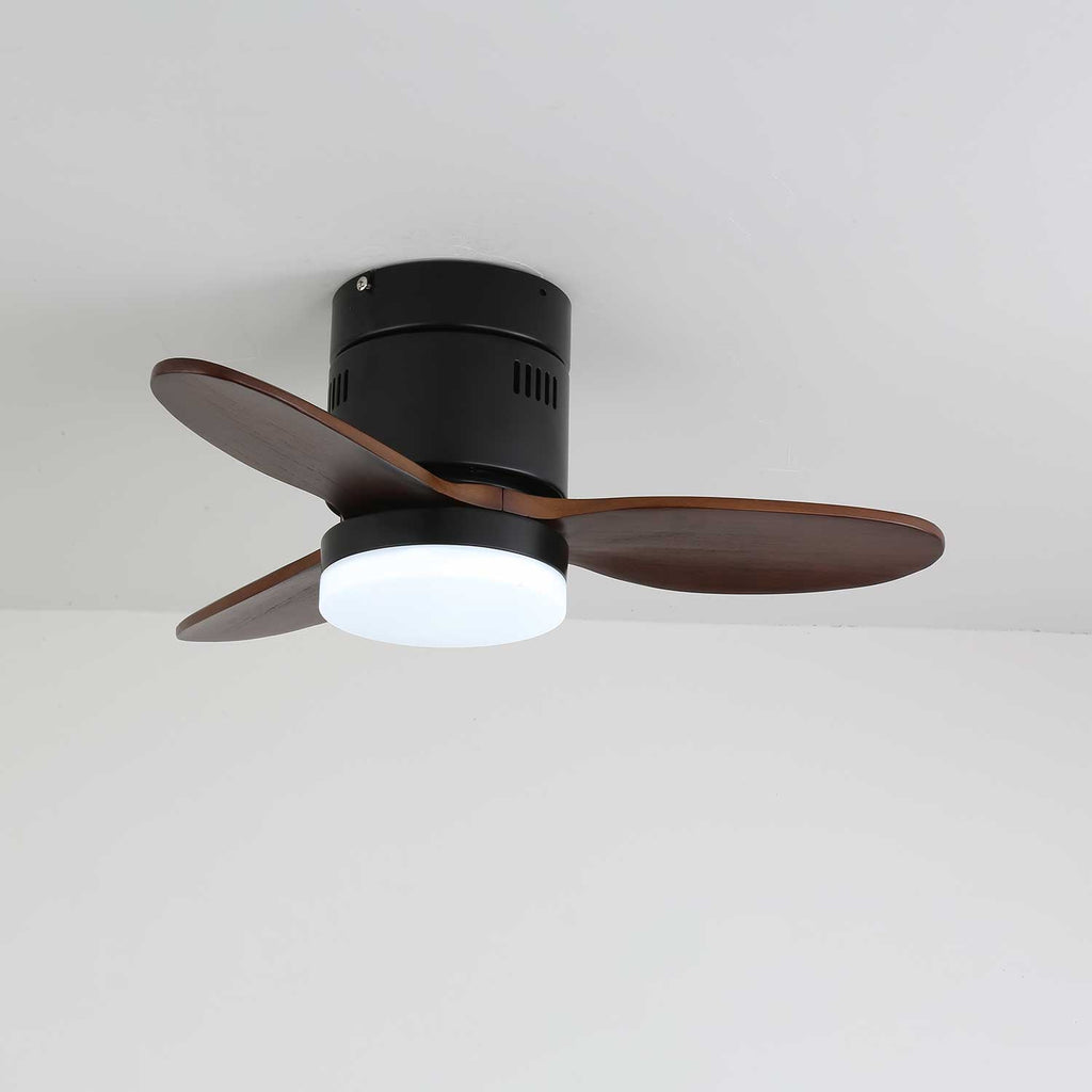 Aeroluxe Modern Ceiling Fan Light — product view 19