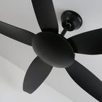 Aeron Noir Ceiling Fan Light — product view 8