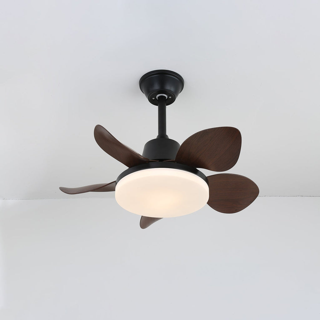 Amelia Ceiling Fan Light — product view 6