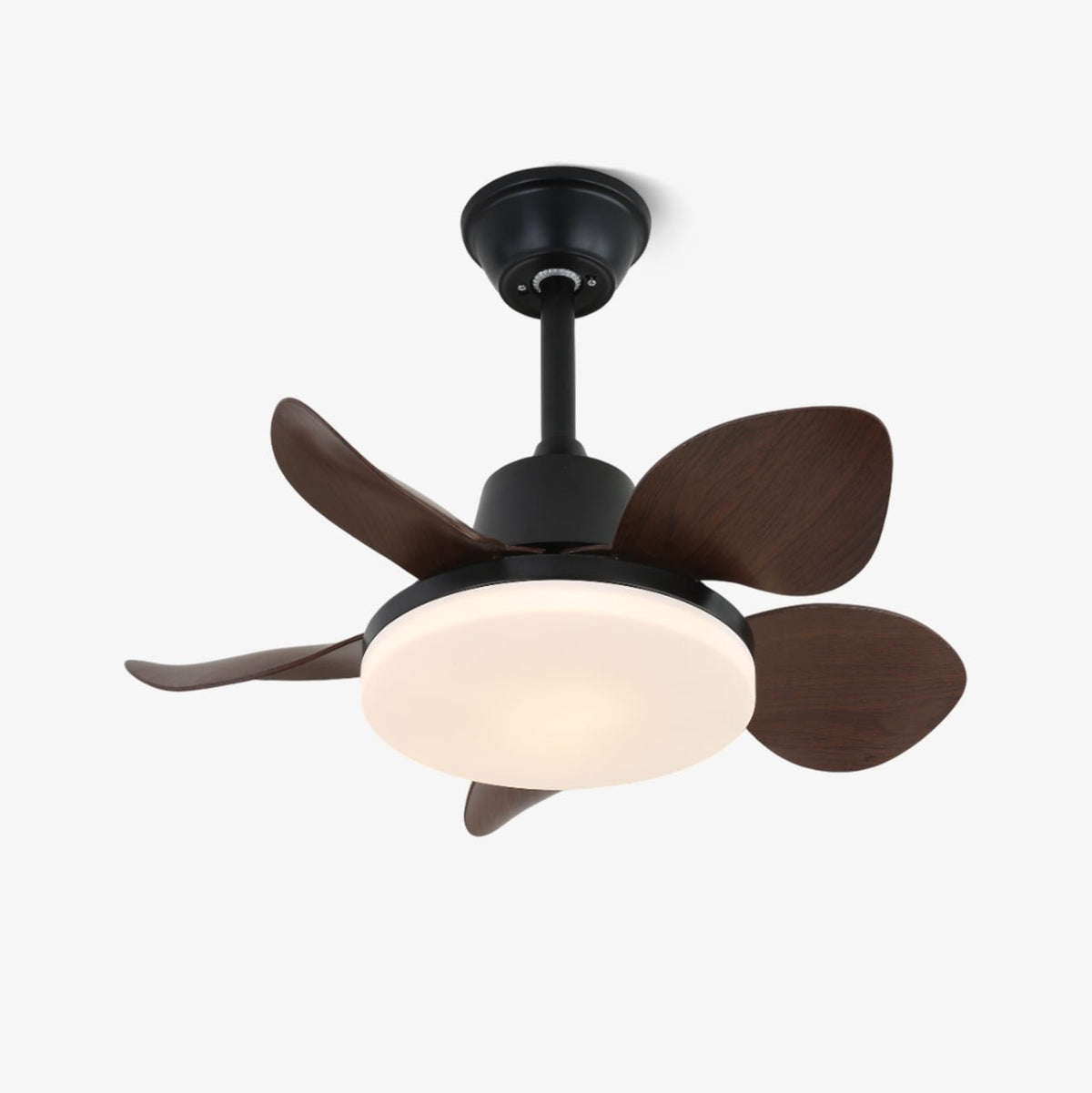 Amelia Ceiling Fan Light — product view 5