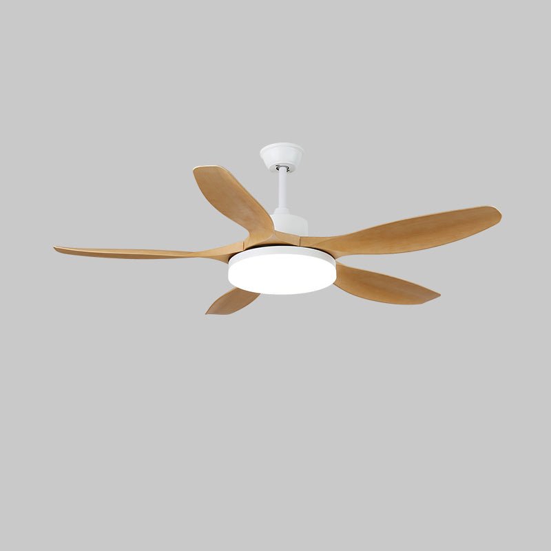 Keltis 42"/52" Ceiling Fan Light — product view 19