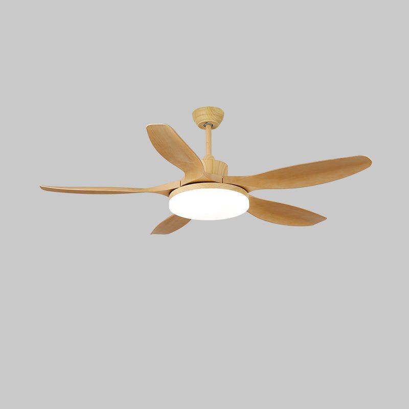 Keltis 42"/52" Ceiling Fan Light — product view 21
