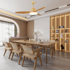 Keltis 42"/52" Ceiling Fan Light — product view 5