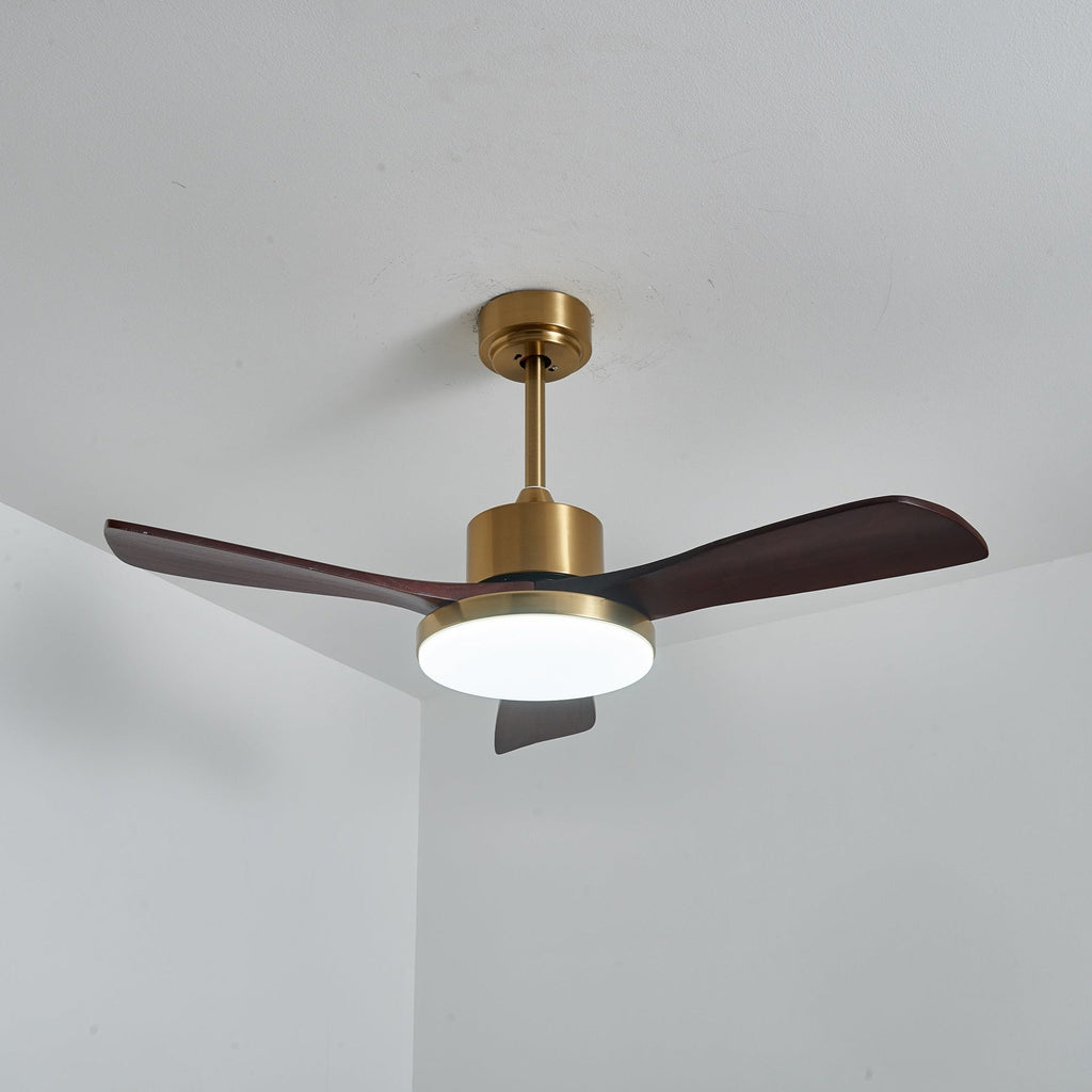 Aurevo Ceiling Fan Light — product view 18