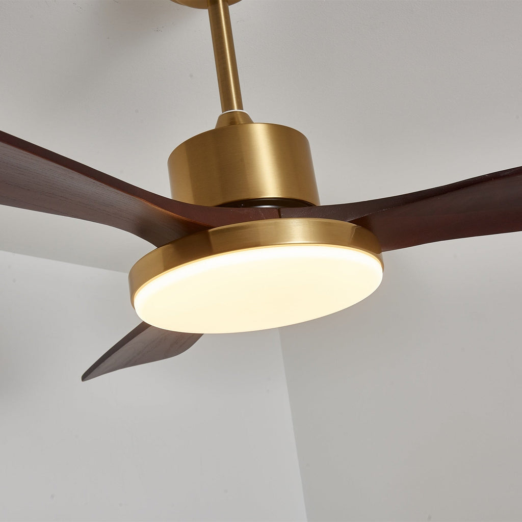 Aurevo Ceiling Fan Light — product view 3