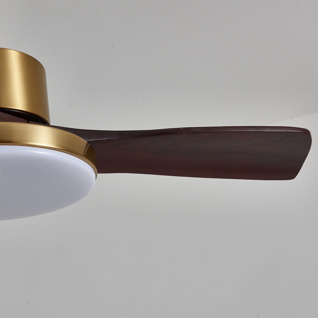 Aurevo Ceiling Fan Light — product view 5