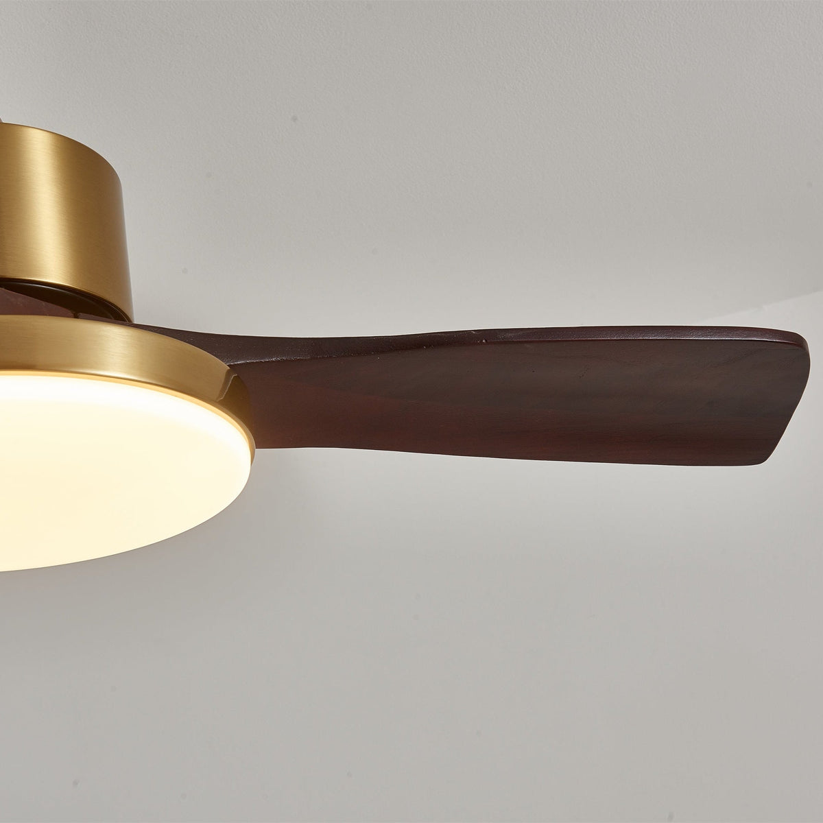 Aurevo Ceiling Fan Light — product view 6