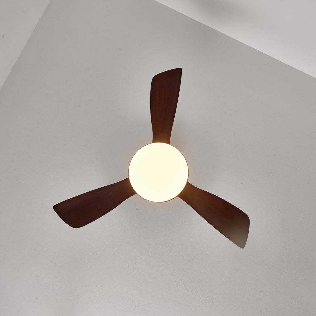 Aurevo Ceiling Fan Light — product view 13