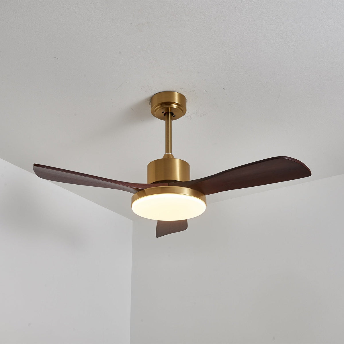 Aurevo Ceiling Fan Light — product view 12