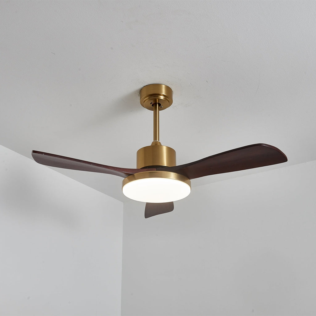 Aurevo Ceiling Fan Light — product view 14