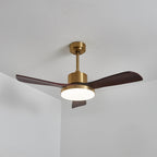 Aurevo Ceiling Fan Light — product view 14