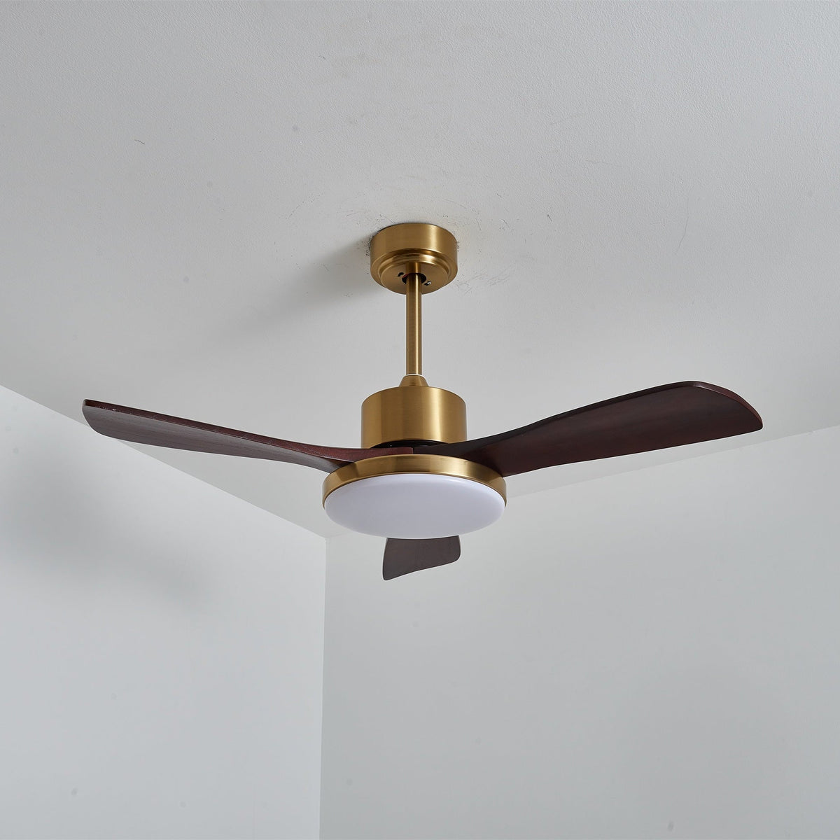 Aurevo Ceiling Fan Light — product view 21