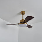 Aurevo Ceiling Fan Light — product view 22