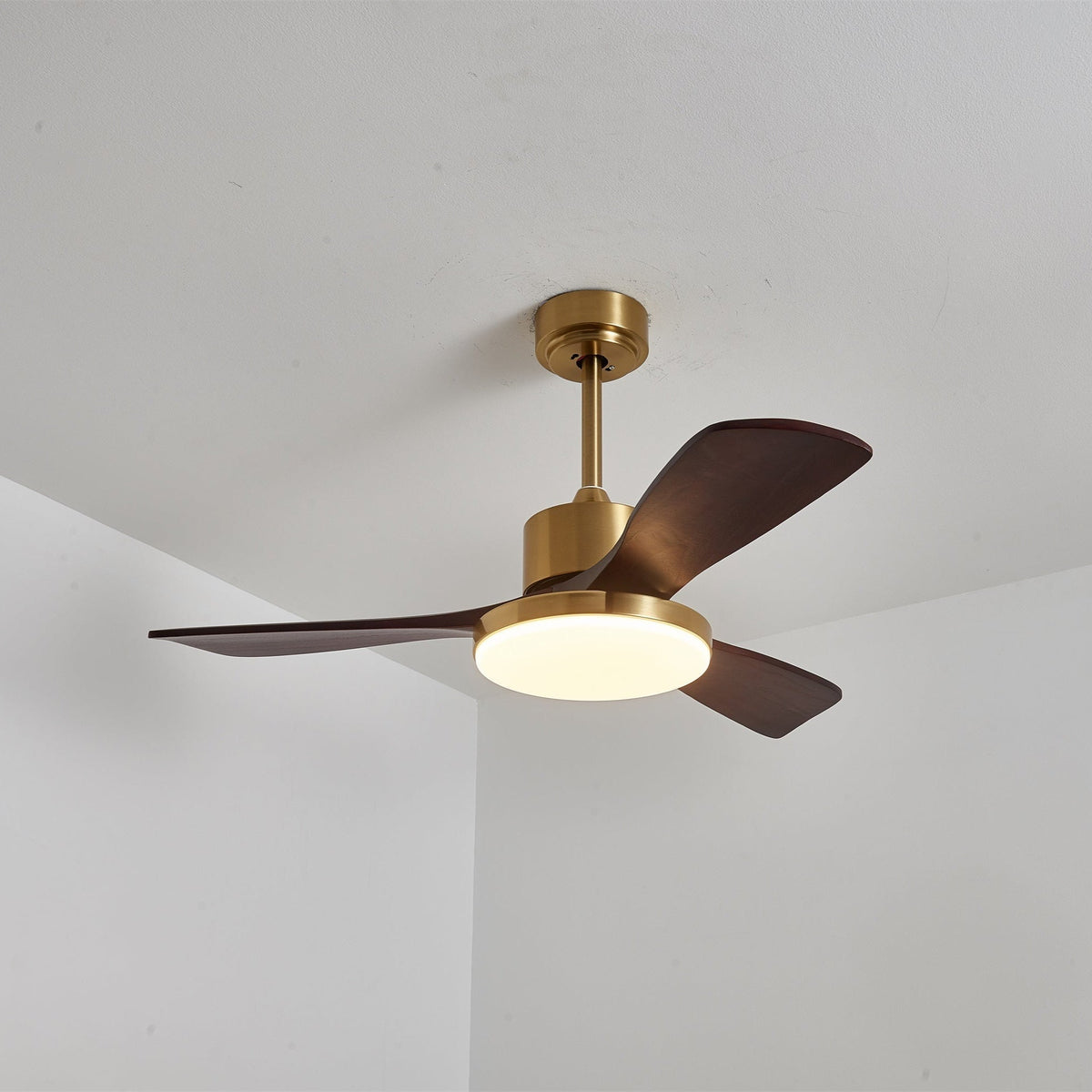 Aurevo Ceiling Fan Light — product view 23