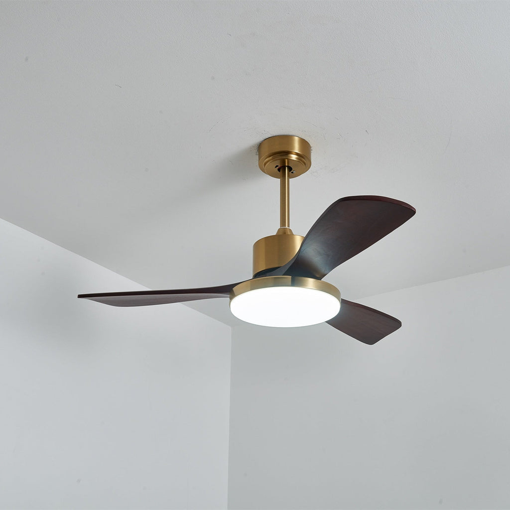 Aurevo Ceiling Fan Light — product view 24