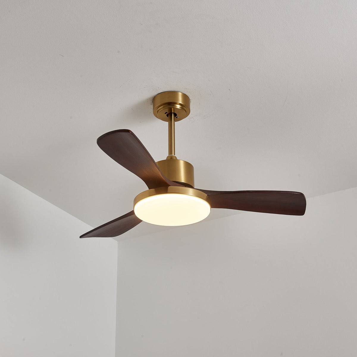 Aurevo Ceiling Fan Light — product view 2