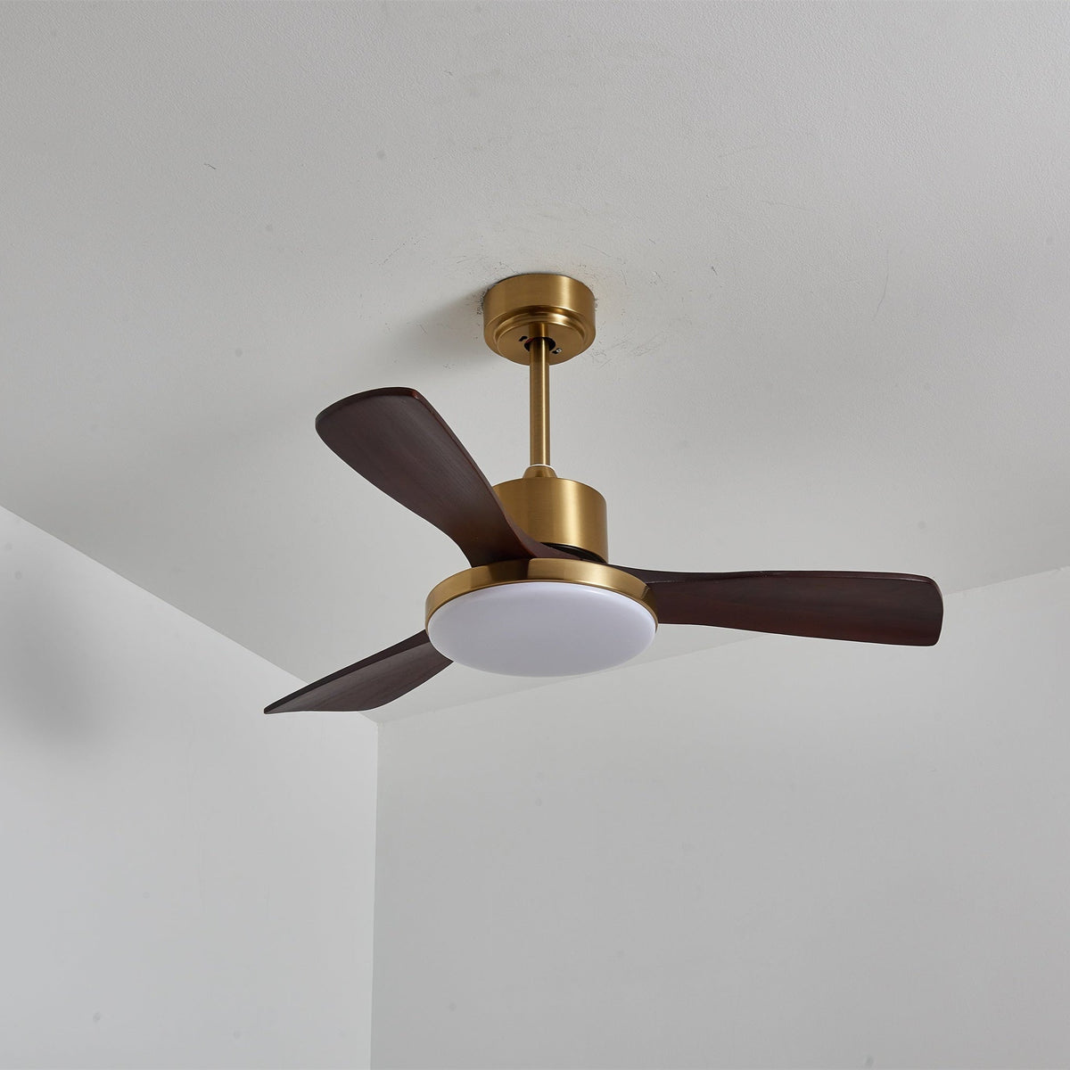 Aurevo Ceiling Fan Light — product view 15
