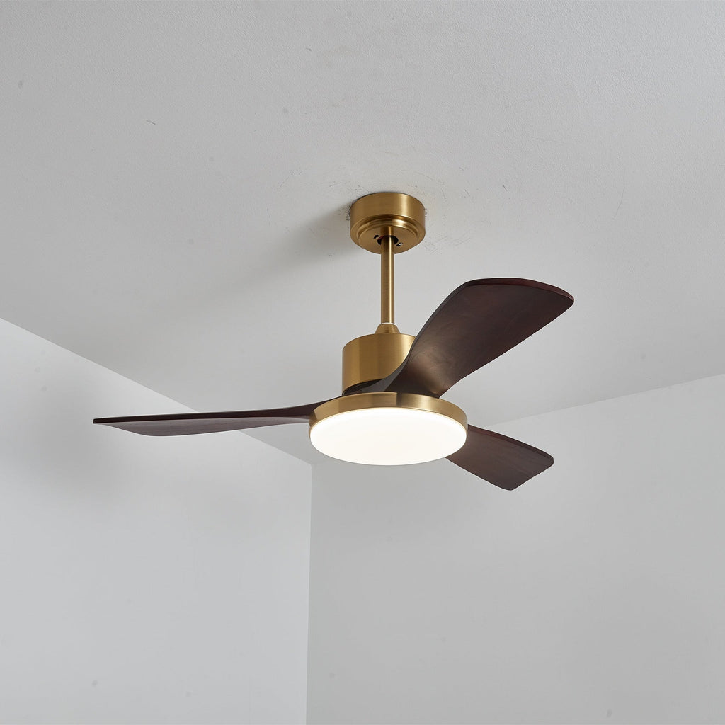 Aurevo Ceiling Fan Light — product view 19