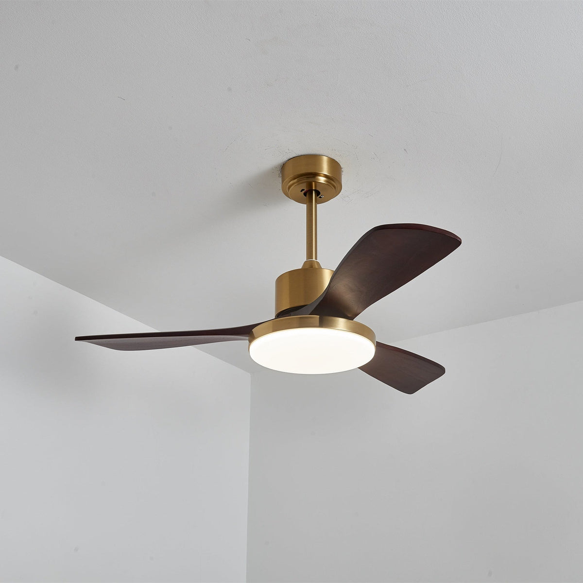 Aurevo Ceiling Fan Light — product view 19