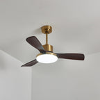 Aurevo Ceiling Fan Light — product view 20