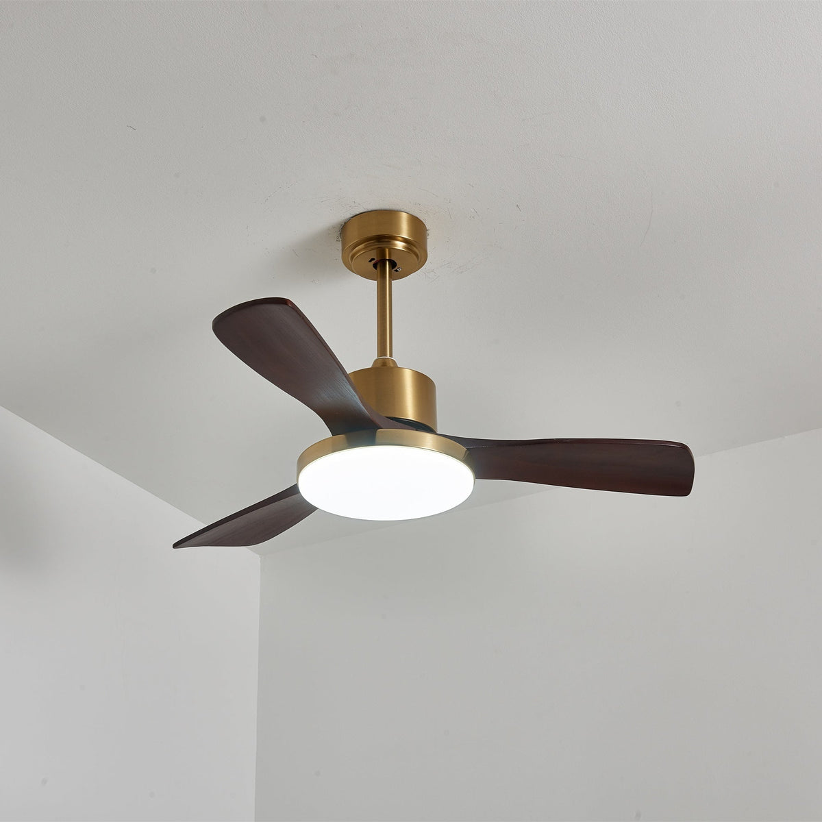 Aurevo Ceiling Fan Light — product view 20