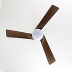 Averso Ceiling Fan Light — product view 4