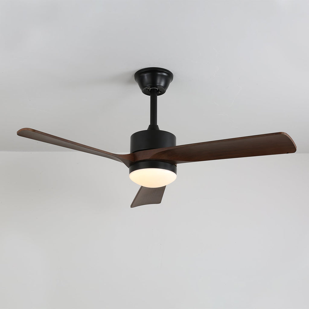 Averso Ceiling Fan Light — product view 12