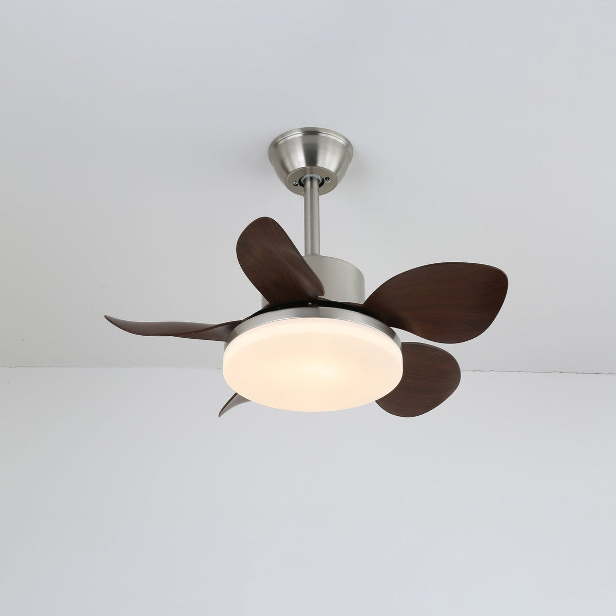 Terra Walnut Ceiling Fan Light — product view 11