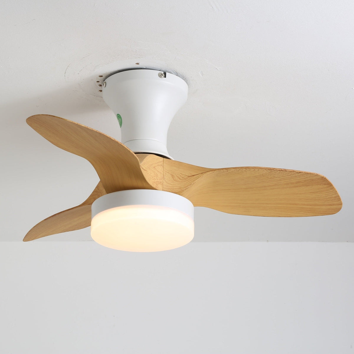 Brisa Ceiling Fan Light — product view 5